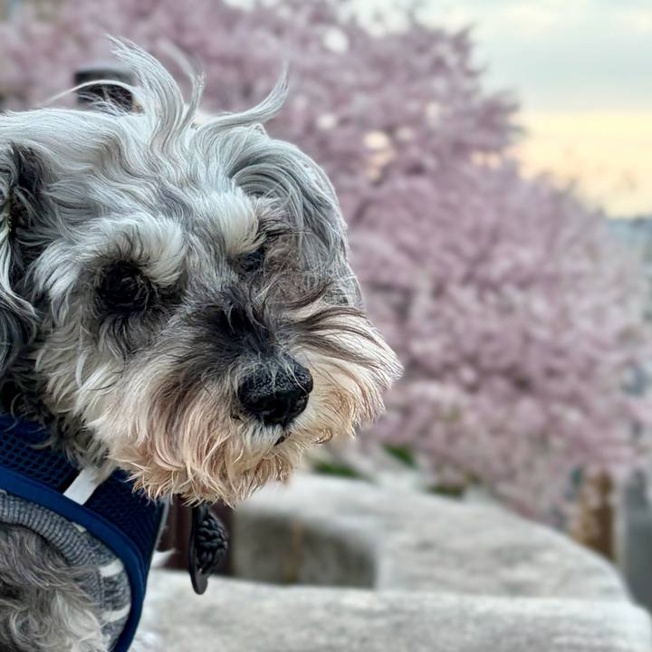 F80e6784 033d 4254 bc3d 60a04a7d3b25 1774608749505