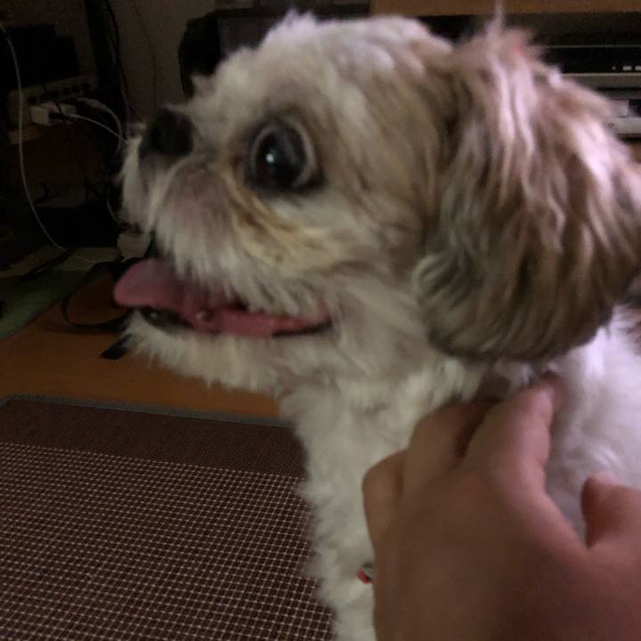 F80e8c58 23bb 4edf aa8d e28ac3237bdf 1566687138091