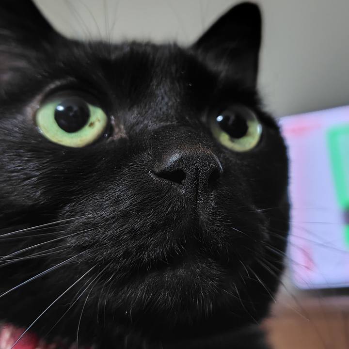 F80ea4a0 5ea1 4c71 ae84 534c212f61c7 1772279912553