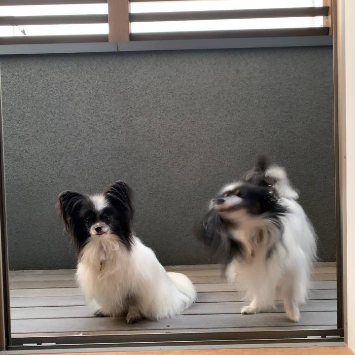 F80eb864 1718 4694 b7b3 789af17ce7d0 1600608535747