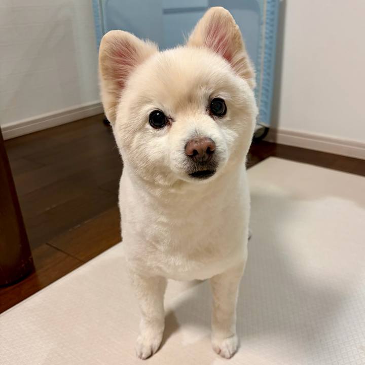 F80ebab1 8fb4 4ddc a15a 67160a4fbce7 1769341953345