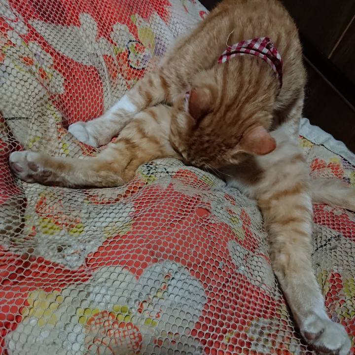 F80ebad0 6bd4 4ff0 93d0 c18b219fc160 1560256975439