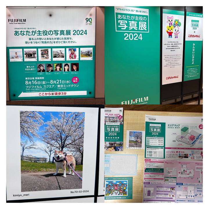 F80f05c9 0014 4ffa b246 13d1eebb1f58 1724141959003