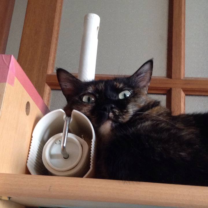 F80f0fb9 f388 4d1d ab06 30ee04621e6a 1534924565973