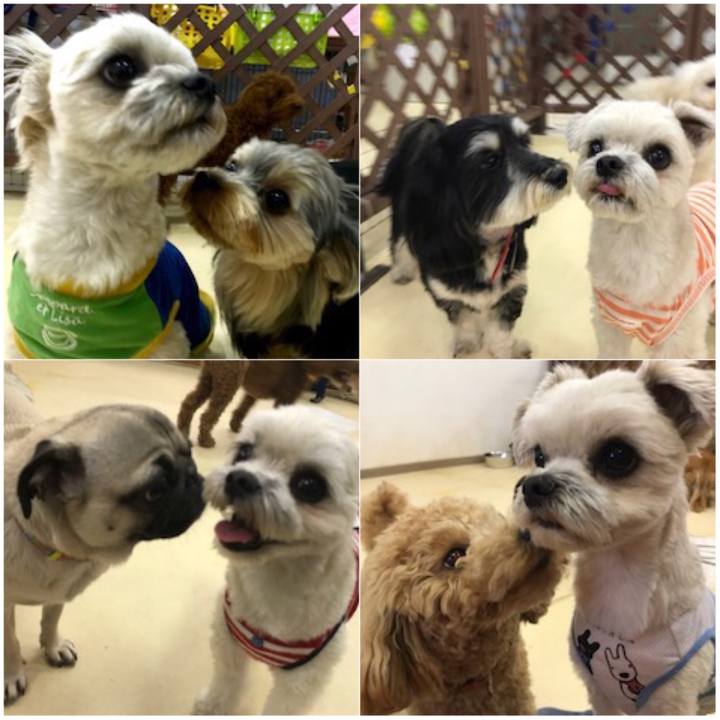 F80f2006 5bf4 434b 84d2 3045821454de 1527073639121