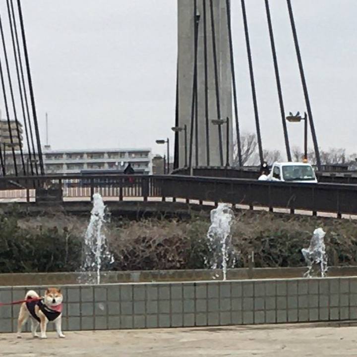 F80f2281 fd2a 4cef 998f 26e11090b4a4 1583564783145