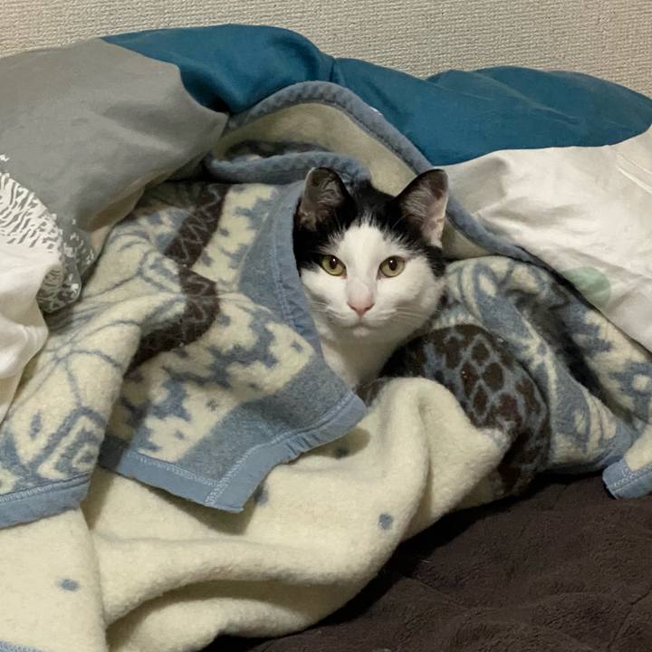 F80f284a f93b 4a79 ad7a 6c84d96b654a 1639715968926