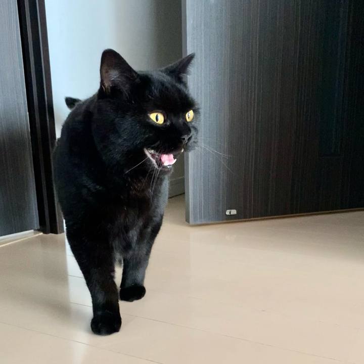 F80f89ce 89fb 4054 b8bf bd0e918300fe 1689942661379