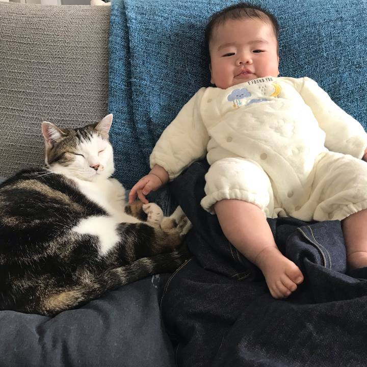 F80f92b0 a739 416b aff4 1277a29e5963 1615717353863