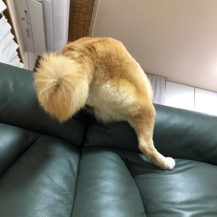 F80fa55e 95a1 4175 abd2 cee265770e82 1583155458417