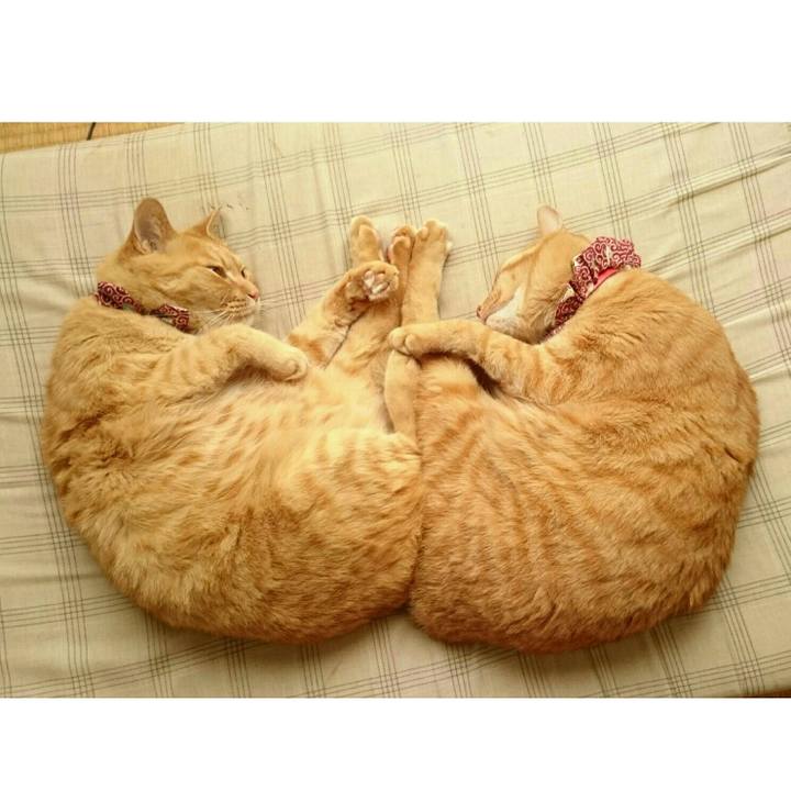 F80fb92f 0bc6 4484 bca6 6b4423936d80 1528257078123