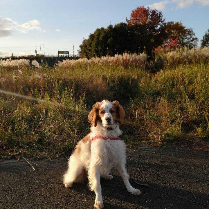 F80fbc52 3503 414c 9e9c 7e3a0d6e542b 1576152850729