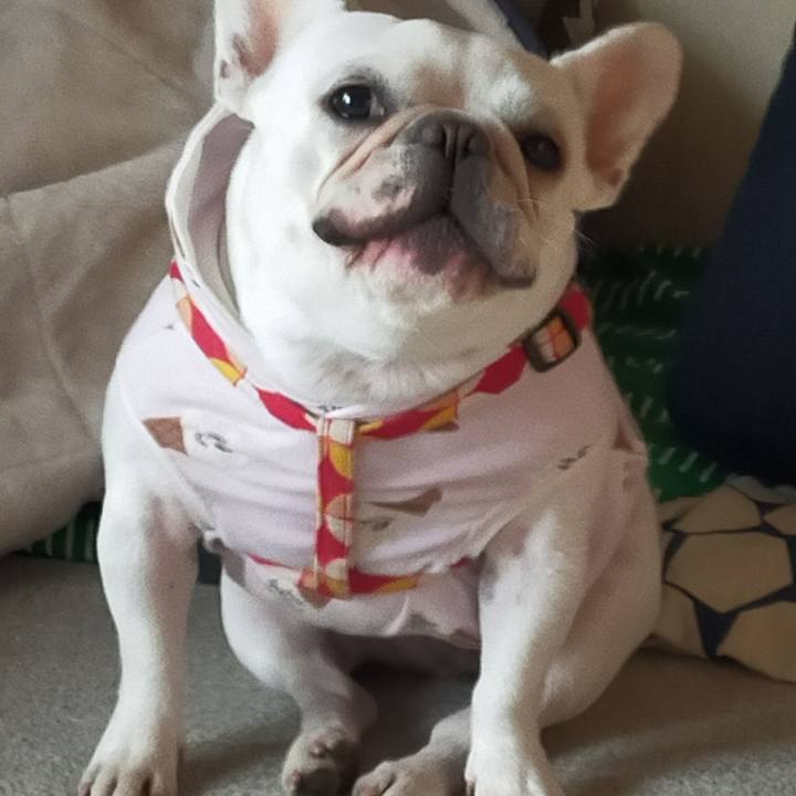 F80fc7e0 9d3d 4c66 98f2 0b63d0b0a4a4 1637015815579