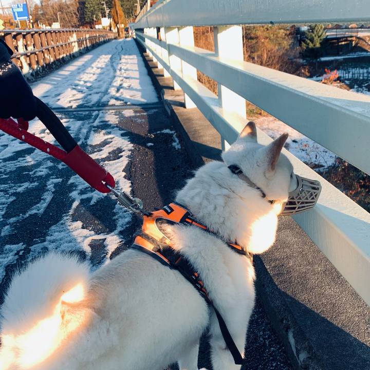 F80fdc66 b614 43e7 a385 c6c8ecedd72a 1668732350642