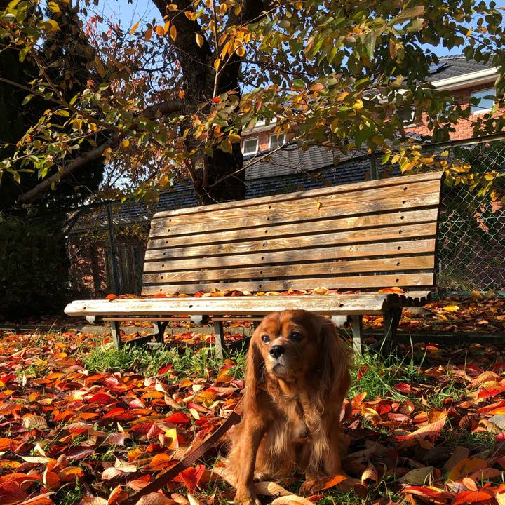 F810a070 27e6 4a82 bf1d a8c4df7c5c37 1604795636811