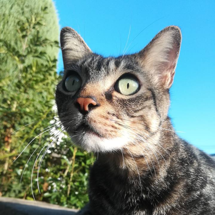 F811278b c58b 4ac4 b87e 8410de8cfe2c 1571038406047