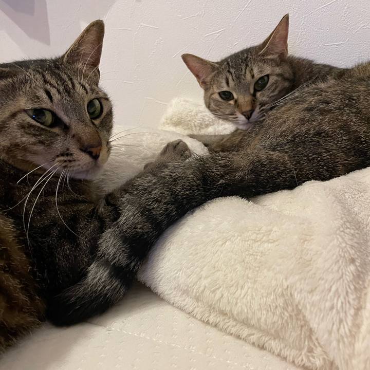 F811348c d07e 492e bc21 398fd5d0e725 1686541109050