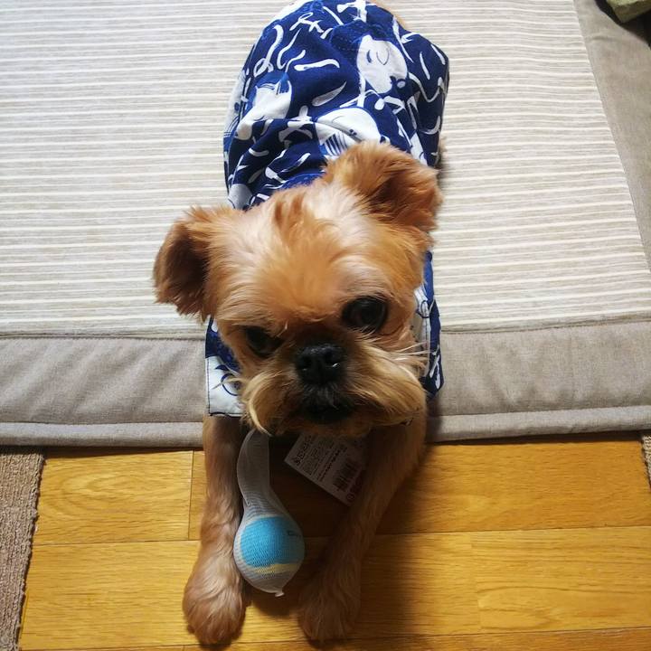 F811422e e04c 454f b219 55a568cd2ce3 1597199554453