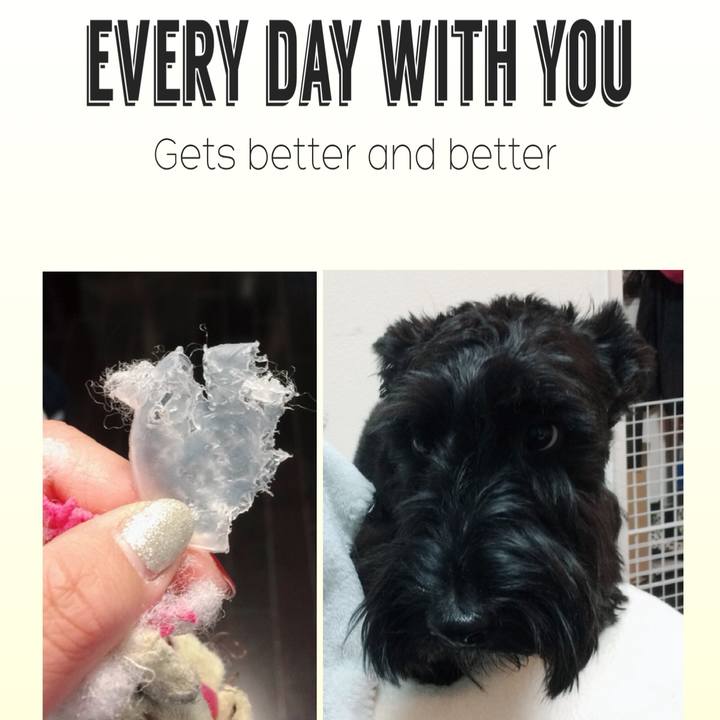 F8115577 8ed6 4de0 82e5 c609636b299c 1514989359607