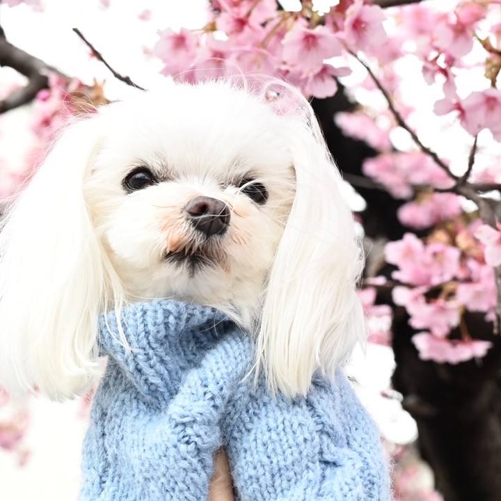 F8117884 e773 44f0 889f 504d72344d35 1709794072980