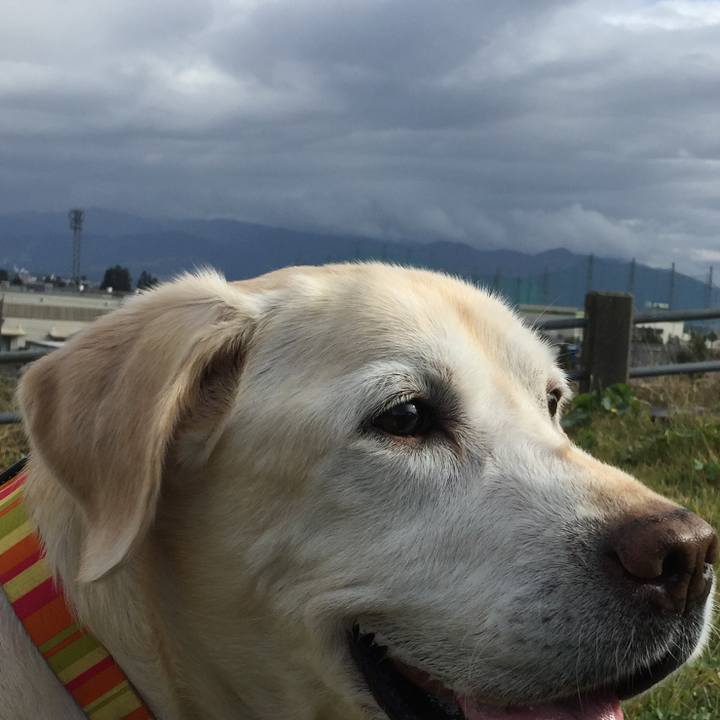 F811c6f8 a414 4f4b afa8 0f94ecf3d1f1 1588836875836