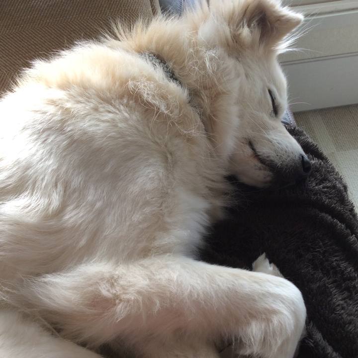 F811d9b1 2392 48f8 a707 43c62a1e0c12 1516754581617