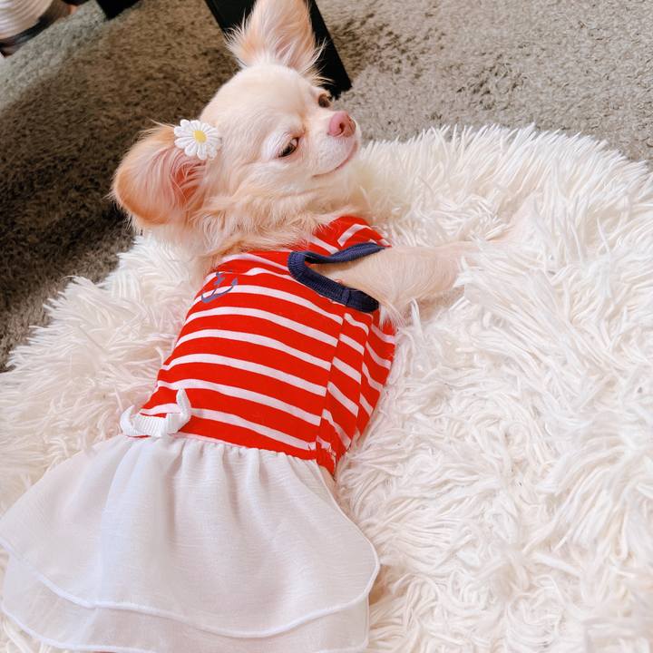 F811e4ae ad06 4971 ab42 0ff99bcf04f8 1659937600130