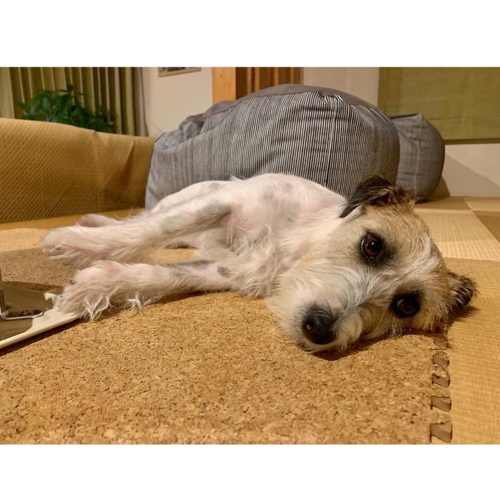 F8120c76 eb7a 455f 8333 e9533b0089b6 1666794089577