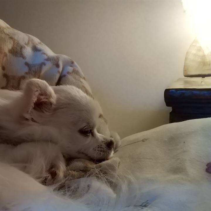 F81215d7 568e 4906 8e2b b8aaa90fd61b 1615587097869