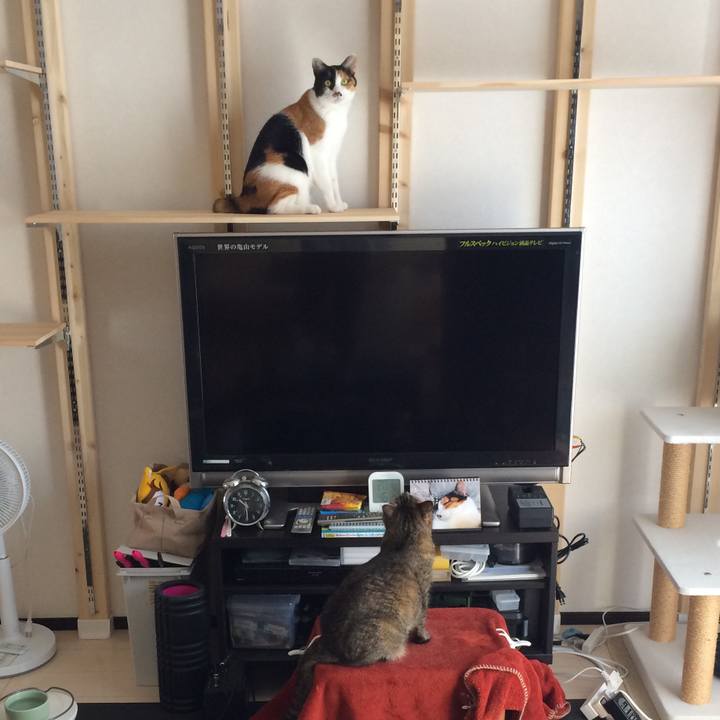 F8121633 b0b2 4fa0 9925 7ec7f0739618 1548040417930