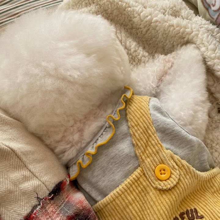 F812188d 6b08 47f8 9792 425a12068dce 1732238328191