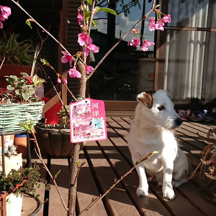 F8124253 5d9b 4c26 8679 e094c0cc816c 1552519354762