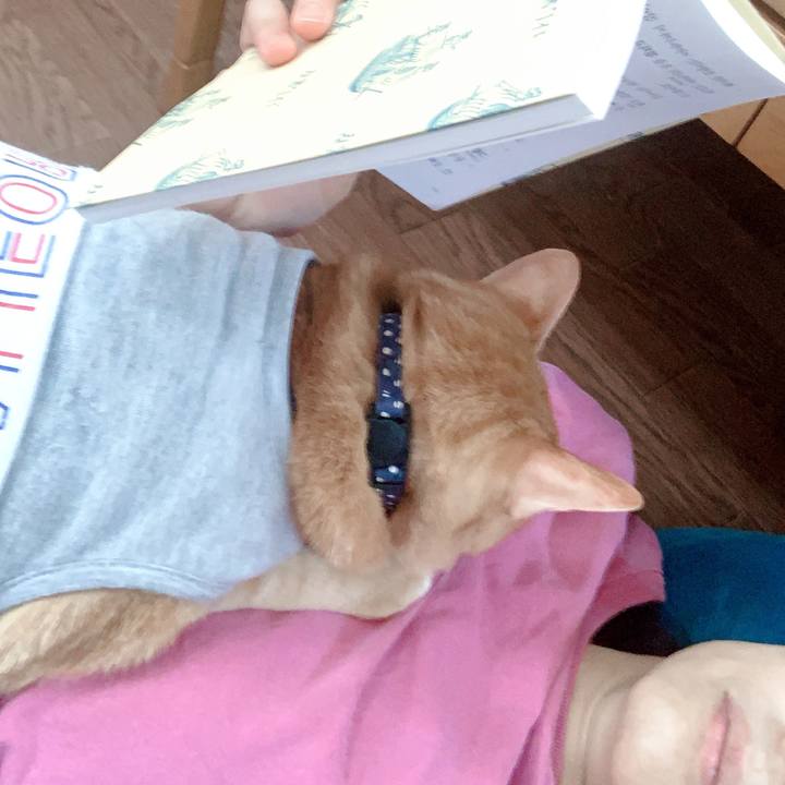 F8126de1 9625 4614 8887 70aaf08b772e 1616196646517