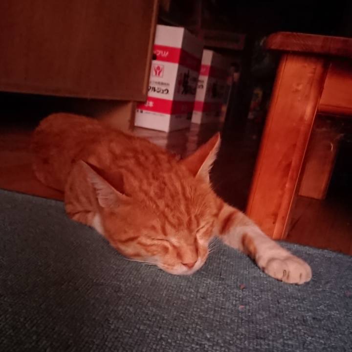 F8127711 ebb1 4492 9437 acb76a1162f9 1565120871294