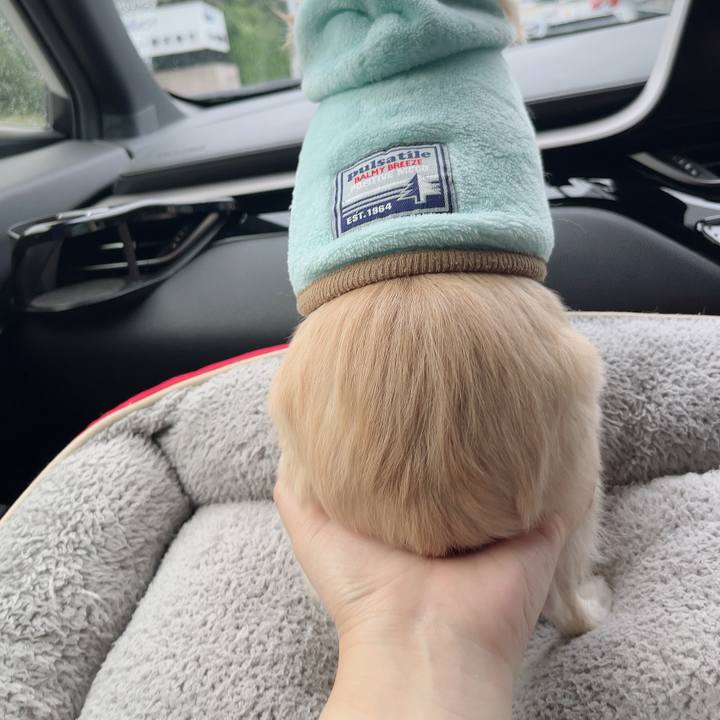 F81298a6 c7bd 4441 9ddd 642db7763c8c 1730510156665