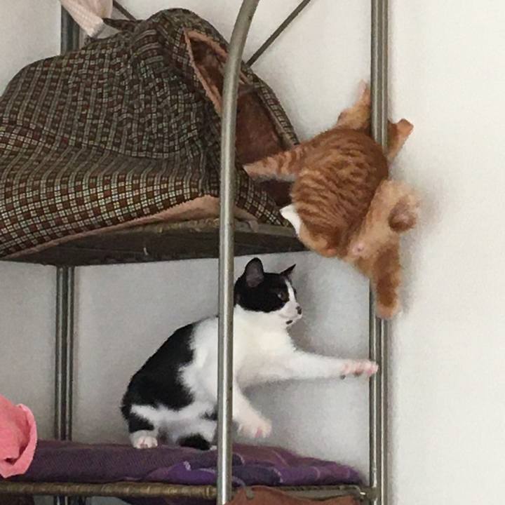 F812a6e4 c0b7 4ed8 a348 5fe82bd2983b 1626694492790