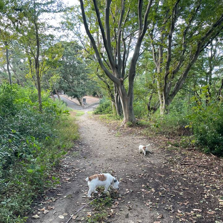 F812e24a ffda 4a62 8fa5 7921ed786720 1634946923662