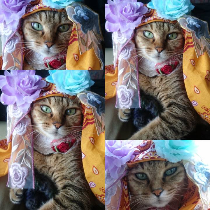 F812ebfa 8576 4fa4 9ebe 08ec4cb31cb0 1760223283192