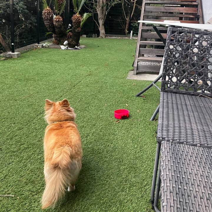 F812ec2a b8d0 4aaa bee1 ebe1d08473ee 1773918529433