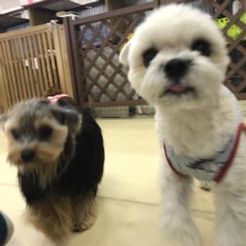 F813213c 97d5 40e4 8d19 a2e6f8ad48b0 1512559261629