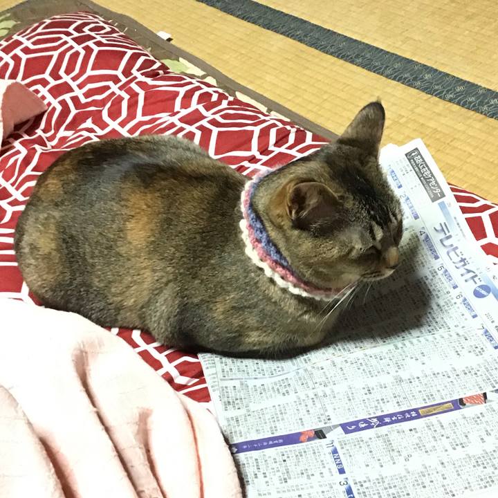 F81339bf ddcf 42cd 9d3d c648a6f8f042 1618651089262