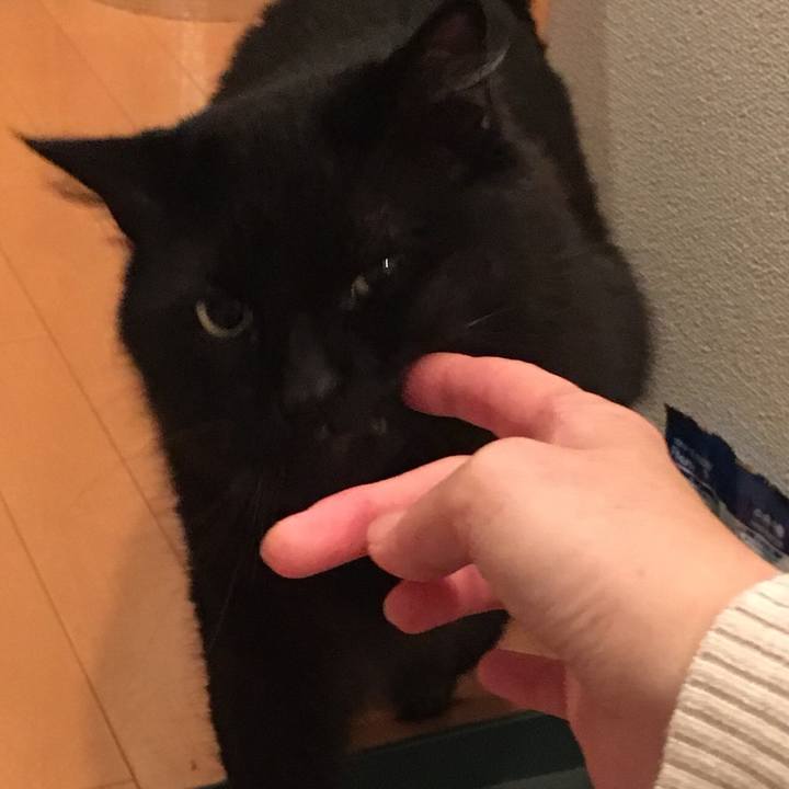 F8135047 54fa 4b20 8ac9 540dabfeba7b 1529497445546