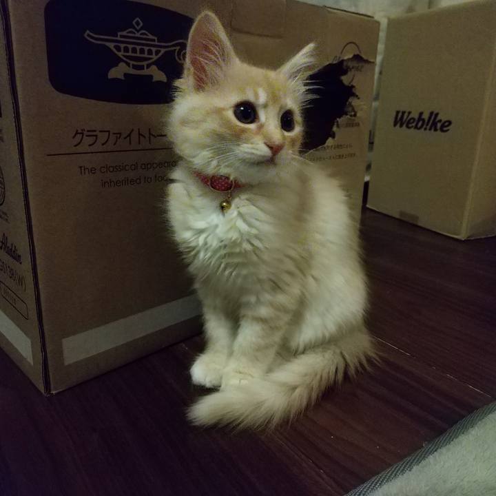 F8136b2d e85c 405e 8a18 9bea715e8bd9 1604577440832