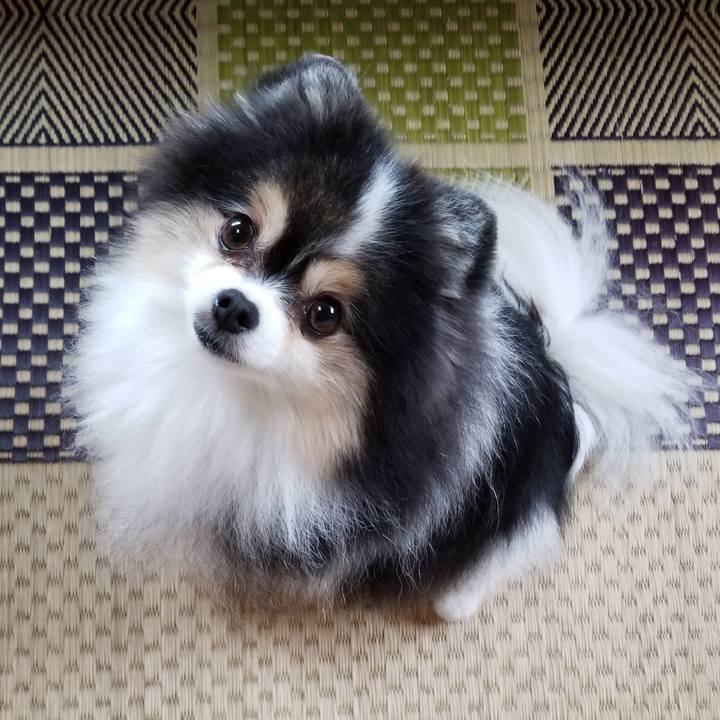 F8140d95 ea15 4e28 a5e3 784be9011d7f 1594249264338