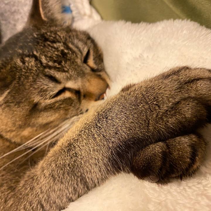 F8144eaf 3f37 4e87 a382 1dd8651a9633 1586866280358