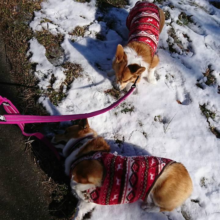 F8145060 4e72 42ce a934 be7490289ba1 1516854134817