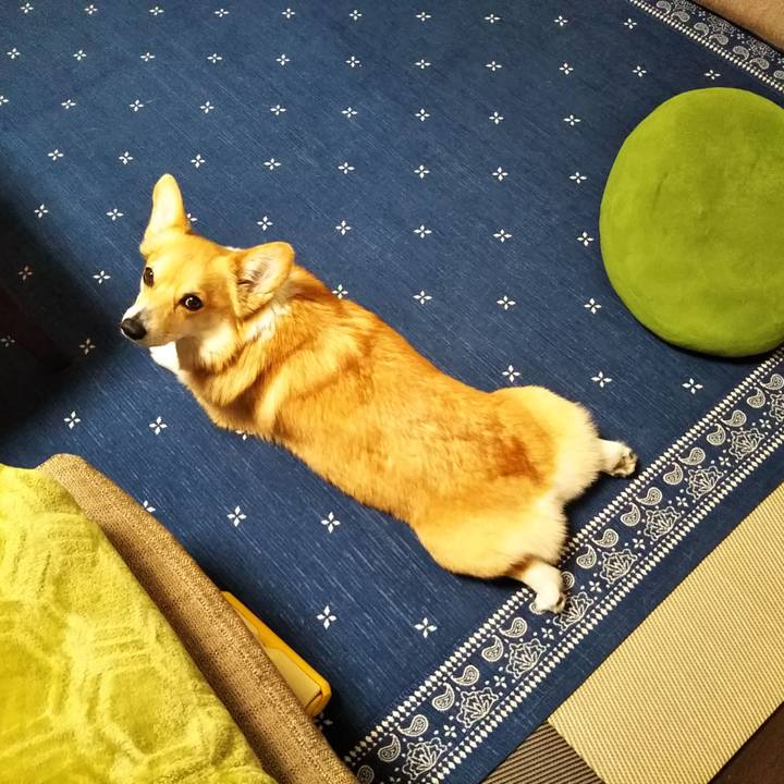 F8146873 7deb 405a a2c7 f68e921f246c 1555072484165