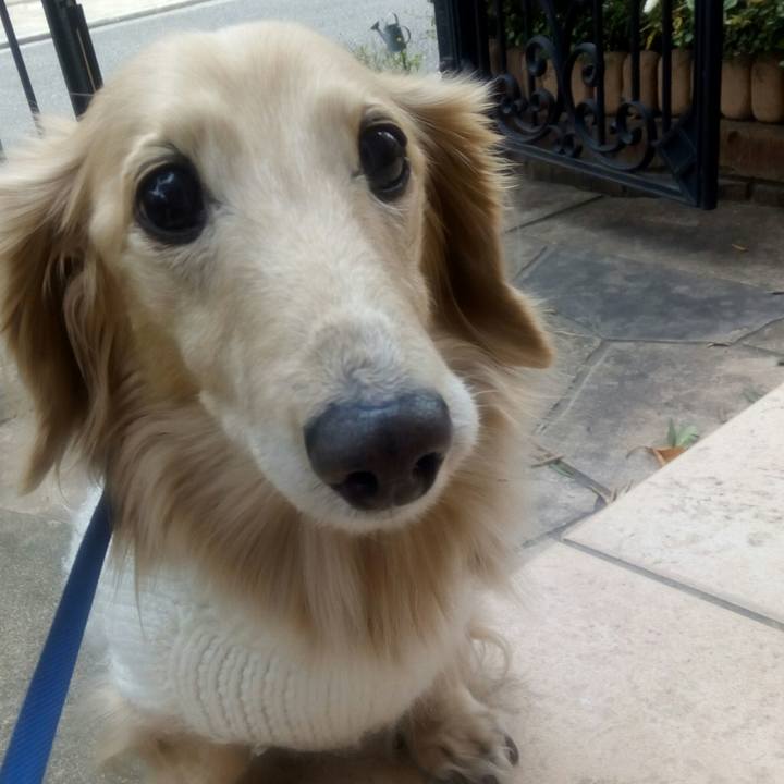 F8147dcc 4109 40b2 ae8d da3bf98799ae 1544521265022