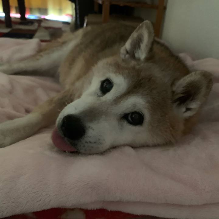 F8147f47 7aab 4b3f 9dae ccdc9e3ec424 1658111693537