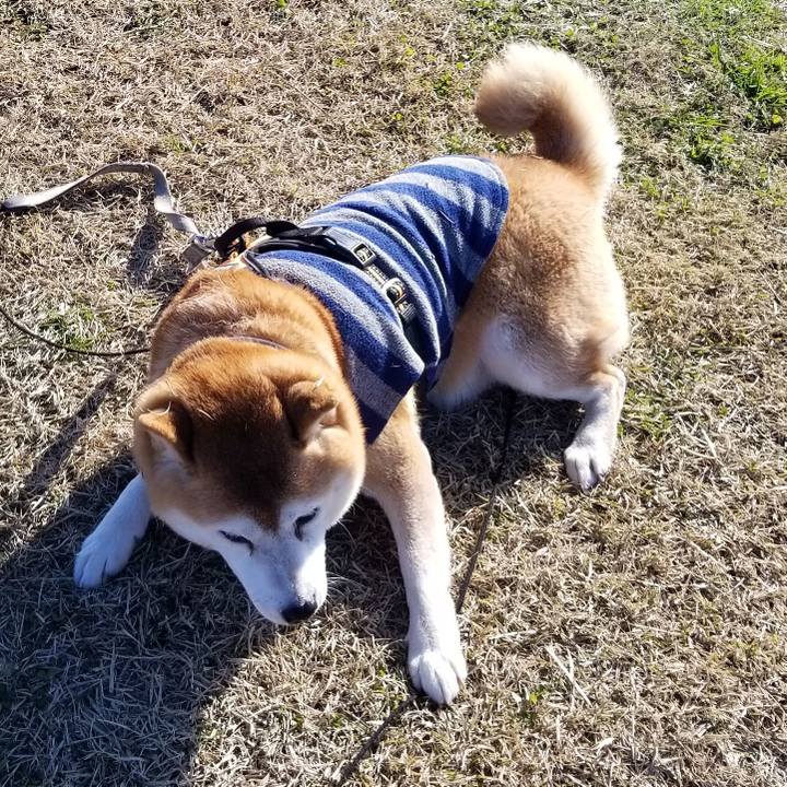 F8149e8a a30a 49b0 a770 39738abcf8aa 1638516264369